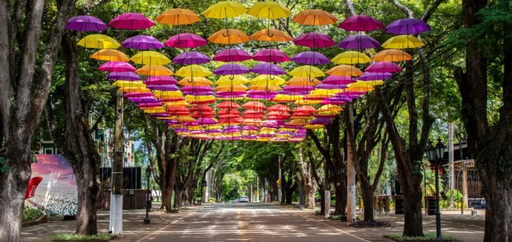 Foto: Alf Ribeiro / Shutterstock.com