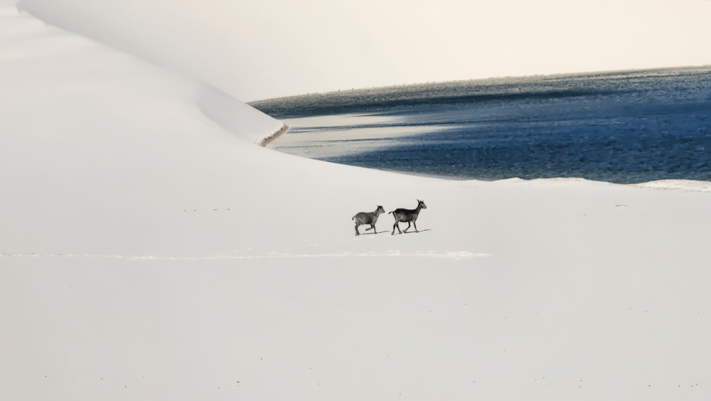 Foto: Irlen Menezes / Blumar Turismo