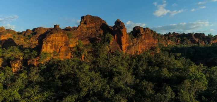 Foto: Marcelo F Junior / Shutterstock.com