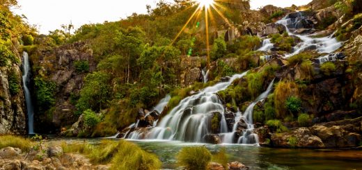 Foto: travellingwithus / Shutterstock.com