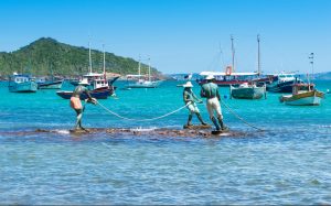 Foto: Catarina Belova / Shutterstock.com