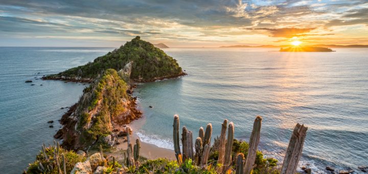 Foto: Vitor Marigo / Shutterstock.com