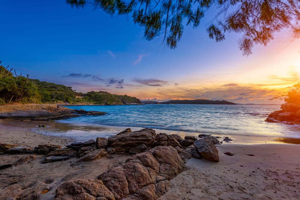 Foto: Catarina Belova / Shutterstock.com