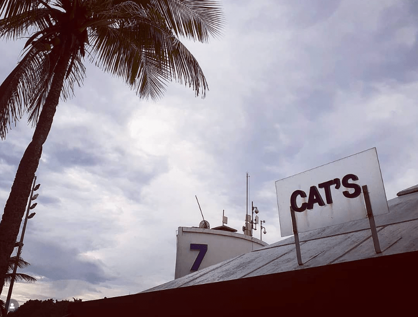 Foto: Divulgação / instagram.com / catsquiosque