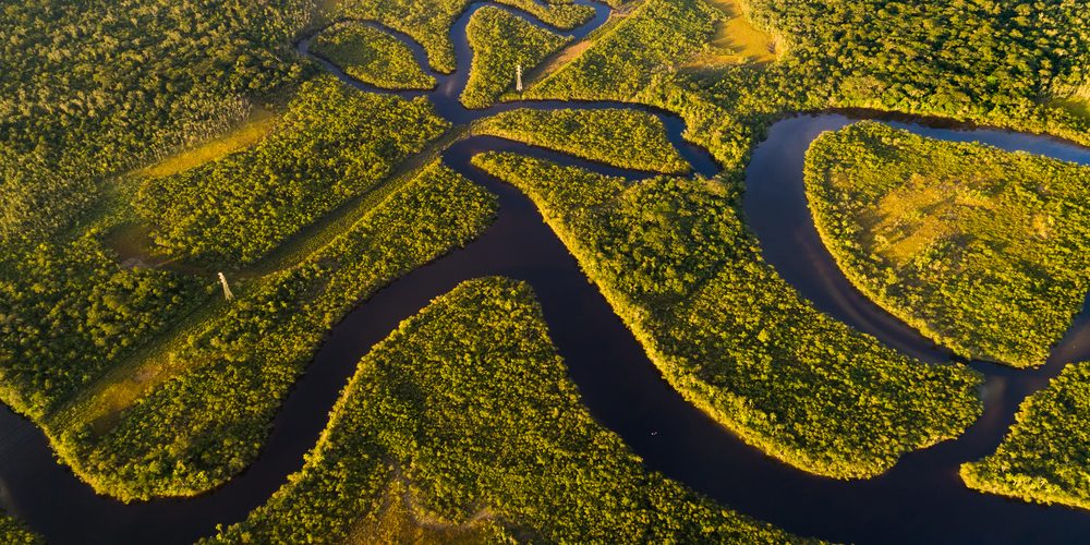 Foto: Gustavo Frazão / Shutterstock.com