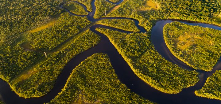 Foto: Gustavo Frazão / Shutterstock.com