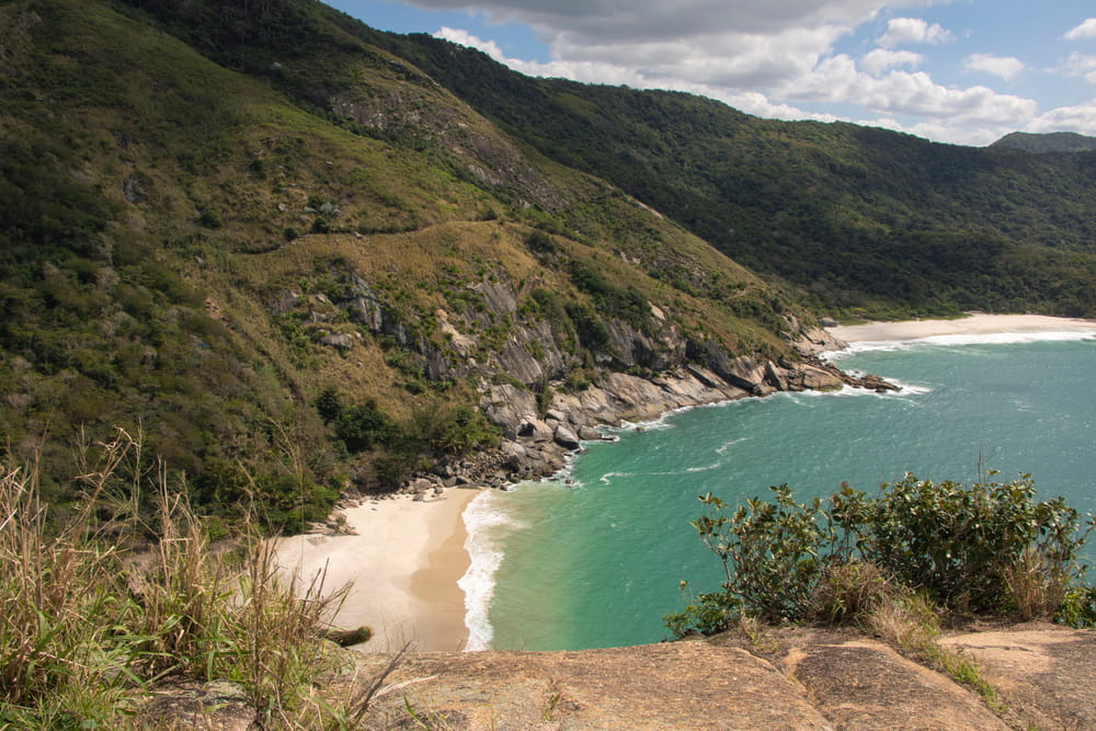 Foto: Diego Thomazini / Shutterstock.com