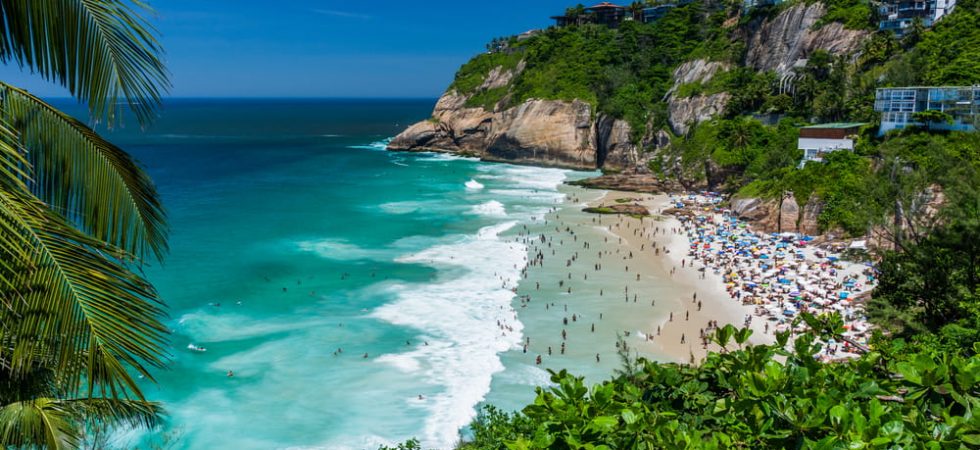 Foto: vitormarigo / Shutterstock.com