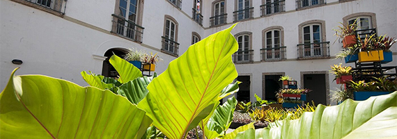 Foto: https://amigosdopacoimperial.org.br/