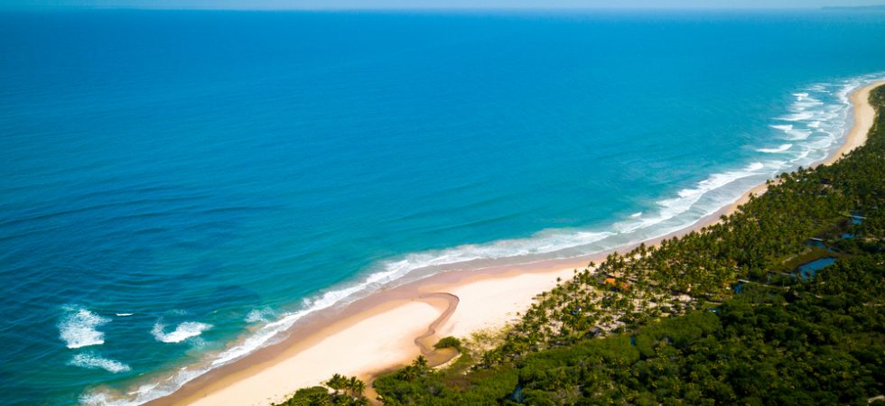 Foto: Marcio I. Sa / Shutterstock.com