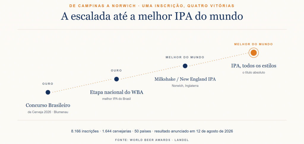 Infográfico: Blumar DMC