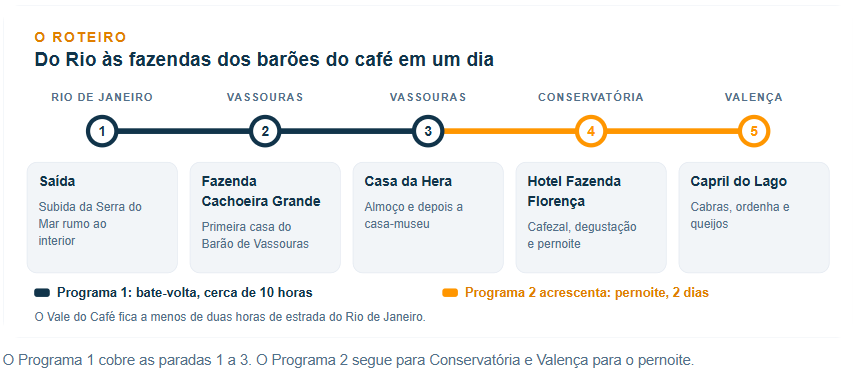 Infográfico: Blumar DMC
