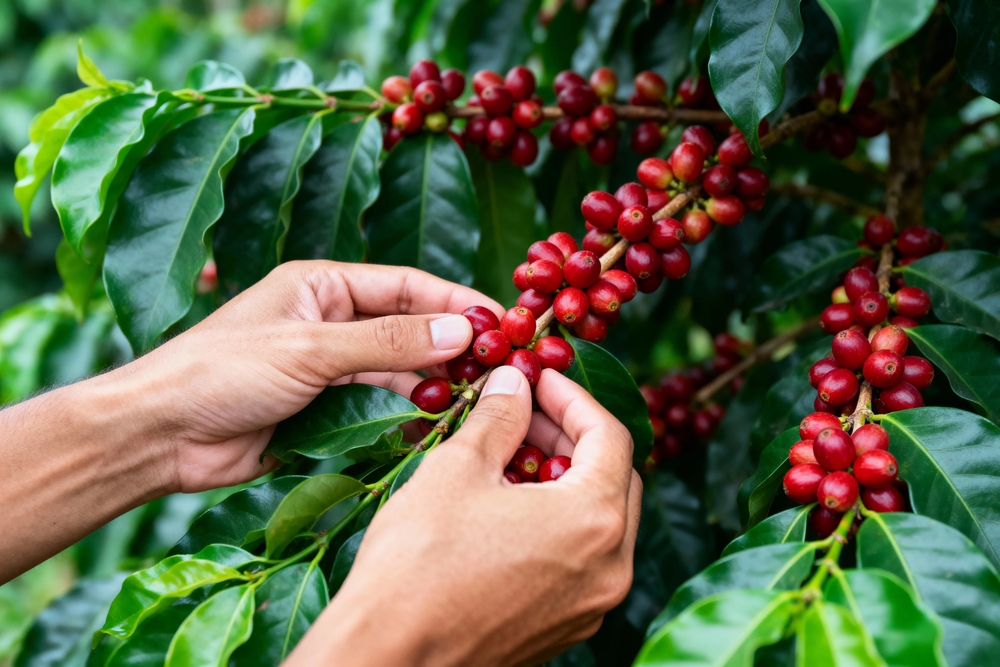 Foto: ZeiMomArt / Shutterstock.com