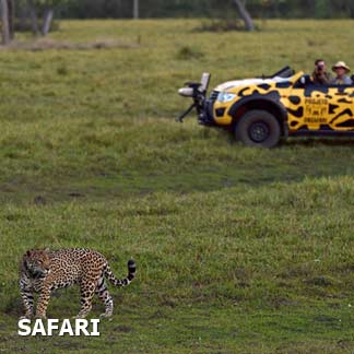 Viagens no estilo Safari