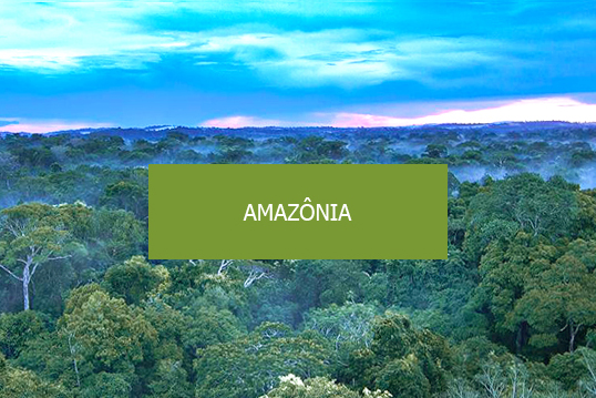 Natureza que Amamos, Amazônia.