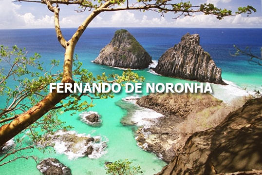 Conheça Fernando de Noronha no Bioma Costeiro Marinho com a Blumar Turismo