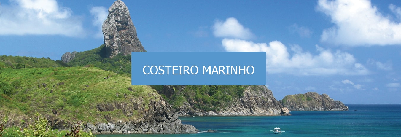 Conheça o Costeiro Marinho,composto por  muitos ecossistemas terrestres e marinhos.