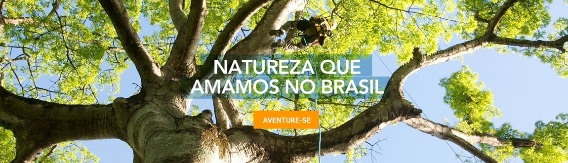 Conheça detalhes sobre os diversos biomas que existem no Brasil.