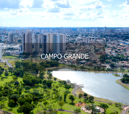 Viaje para Campo Grande