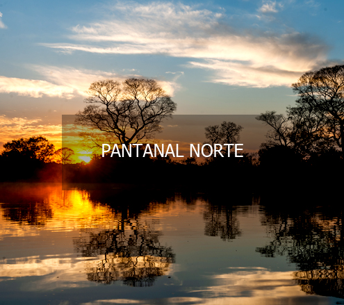 Viaje para o Pantanal Norte
