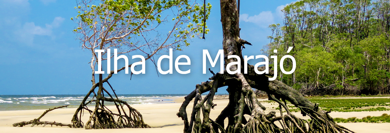 Conheça a Ilha de Marajó a maior ilha fluvial-marinha do mundo, com grande diversidade de  fauna e flora e suas belas praias de águas calmas.