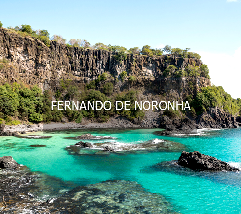 Viaje para Fernando de Noronha