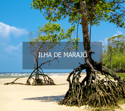 Viaje para a Ilha de Marajó