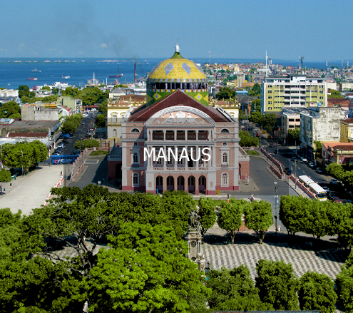 Viaje para Manaus