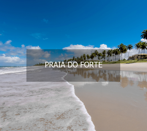 Veja nossa seleção dos melhores resorts em Praia do Forte.