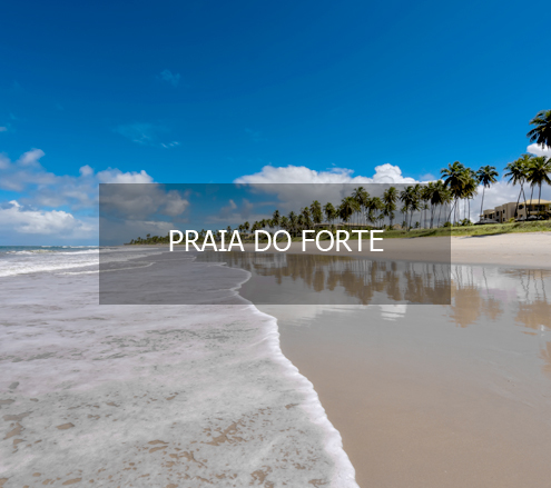 Viaje para a Praia do Forte