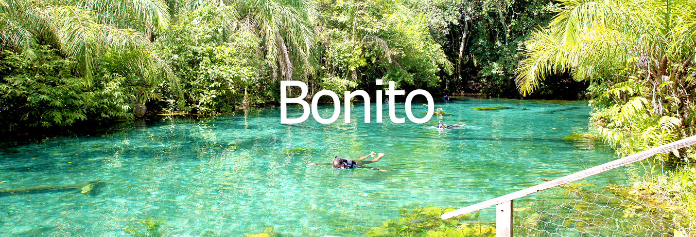 Conheça as  cachoeiras, lagos, rios, grutas, cavernas e aquários naturais da região de Bonito