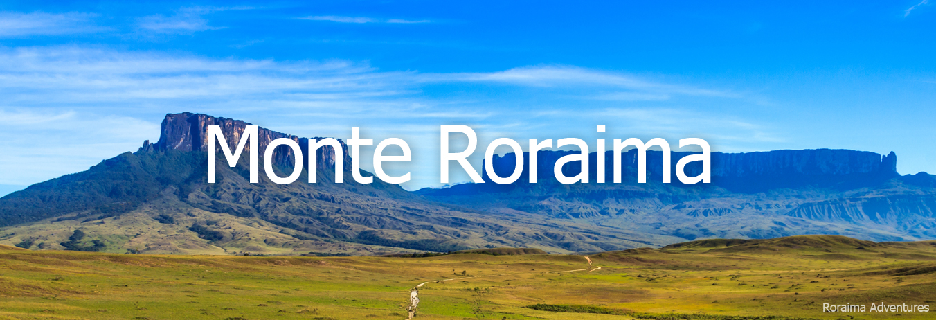 Conheça O Monte Roraima, um parque nacional, um platô que possui um ecossistema com alto grau de endemismo, que incluem plantas e animais só encontrados lá.