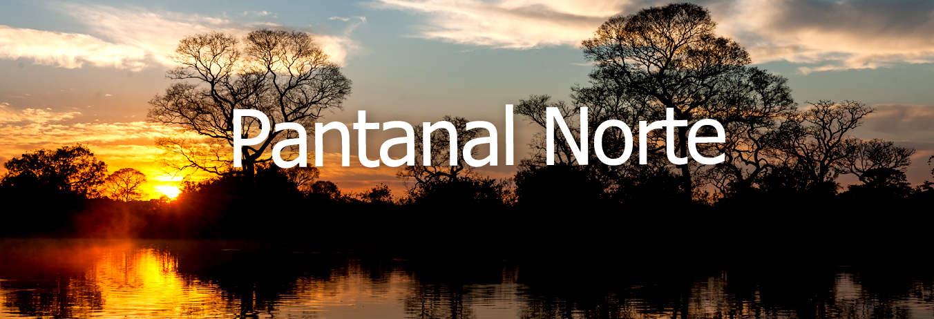 Conheça o Pantanal Norte onde se localiza o Parque Nacional do Pantanal Mato-grossense, a Estação Ecológica Taiamã e o Parque Estadual do Encontro das Águas