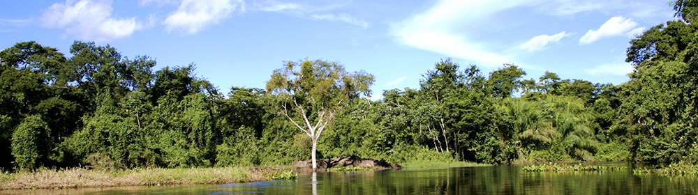 Pantanal Sul - Caiman  - Pacote 4 Dias e 3 Noites
